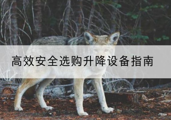 海伦升降货梯厂家推荐-*安全选购升降设备指南
