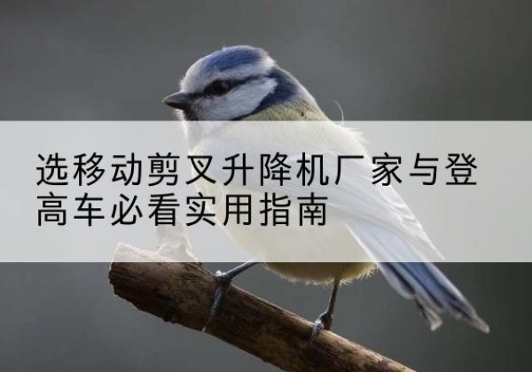 海伦电动升降机厂家-选移动剪叉升降机厂家与登高车必看实用指南