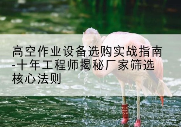 海伦剪叉式升降机厂家-高空作业设备选购实战指南-十年工程师揭秘厂家筛选核心法则